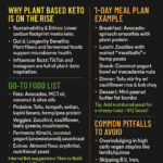 High‑Protein Keto Snacks That Fuel Your Brain & Burn Fat